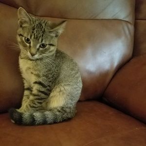 Meet your Posher, Destiny